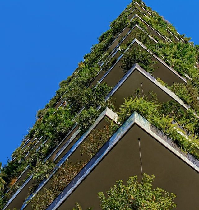 El futuro de la construcción: edificios que absorben CO2